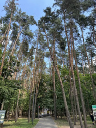 Продається квартира Київ, Дмитра Чижевського, 2 фото 20 Продається квартира Київ, Дмитра Чижевського, 2 фото 20