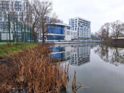 ��������� �������� ���������� ���., 21-�, ���, ���������� ���� 12