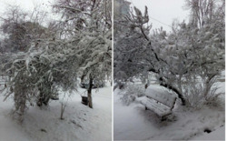 ��������� �������� ����� ��������, 5, ���, ������������� ���� 17