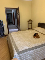 ��������� �������� ������������, 35, ���, �������������, �. �������� ���� 15