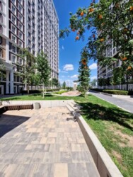 ��������� �������� ������� �����������, 24, ���, ����������� ���� 19