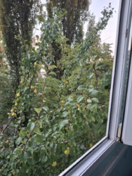 ��������� �������� ��-� �������������, 21, ���, ������������� ���� 4