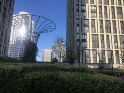 ��������� �������� ������, ���, ���������� ���� 19