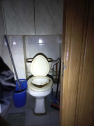 ��������� �������� ˳�������, 8/24, ���, ����������� ���� 20