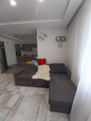 ��������� �������� ��������, 96, ���������� ���������, ����-�������������, ������� ���� 13