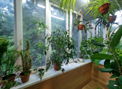 Продається квартира Михайла Бойчука, 23, Київ, Печерський, м. Звіринецька фото 7 Продається квартира Михайла Бойчука, 23, Київ, Печерський, м. Звіринецька фото 7