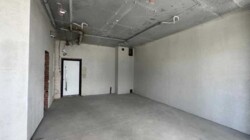   , ,   II, 12, 12, .   3