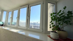 ��������� �������� ��������,18, ���, ���������� ���� 12