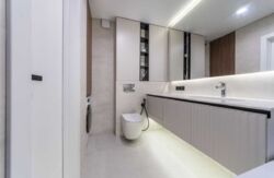 ��������� �������� �����������, 24�, ���, �����������, �. ������������ ���� 15