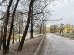   , , , 5  3
