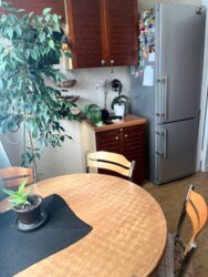 ��������� �������� ������ ����� ��, 15, 15, ���, ����������, �. ����� ������ ���� 2