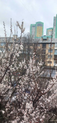   , , 곿, 7  2