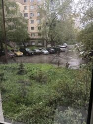 ��������� �������� ������ ������, 23, ���, �����'�������, �. ��������� ���� 17