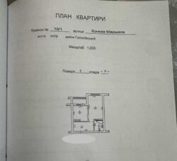 ��������� �������� ������� ������, 10/1, ���, ����������� ���� 17