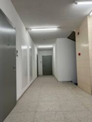   , , , 37, .    12