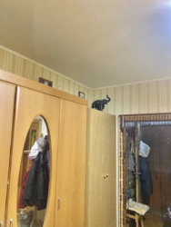   , ,  , 8  7