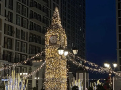 ��������� �������� ������� �����������, 24�, ���, ����������� ���� 20