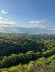 ��������� �������� ����i�����, 6, ���, ������������� ���� 13