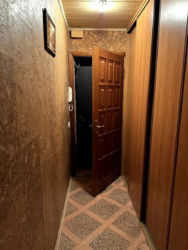 ��������� �������� ����� ����������� (�������), 33, ���, �����'������� ���� 5