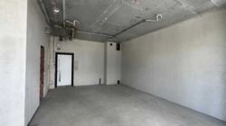   , ,   II, 12, 12, .   8