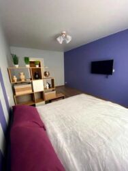 ��������� �������� ����� ��������, 32, ��� ���� 17