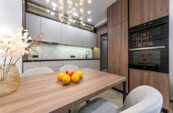 ��������� �������� �����������, 24�, ���, �����������, �. ������������ ���� 1