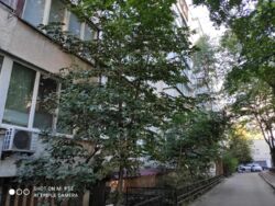 Продається квартира Київ, Шевченківський, Половецька, 14 фото 19 Продається квартира Київ, Шевченківський, Половецька, 14 фото 19