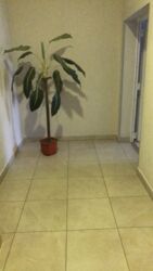 ��������� �������� �����������, 6/1, ���, ���������� ���� 13