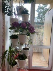 Продається квартира Київська, Києво-Святошинський, Чайка, Лобановського, 29 фото 16 Продається квартира Київська, Києво-Святошинський, Чайка, Лобановського, 29 фото 16