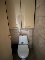 ��������� �������� �����������, 17, ���, �����������, �. ������� ���� 3