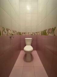   , , .   ( ), 7, .    10