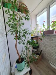 Продається квартира С. Данченка, 3, Київ, Подільський фото 5 Продається квартира С. Данченка, 3, Київ, Подільський фото 5