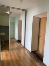 ��������� �������� ���� ��������, 33, ���, ���������� ���� 11