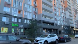 ��������� �������� ������ �������, 8, ���, ������������� ���� 5