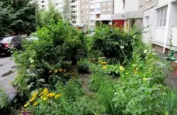 Продається квартира Київ, Голосіївський, Заболотного 80 фото 19 Продається квартира Київ, Голосіївський, Заболотного 80 фото 19