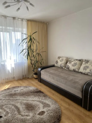 ��������� �������� ���� ��������, 33, ���, ���������� ���� 8