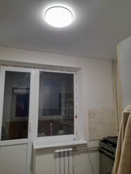   , ,  곿 ( ), 6, .   19