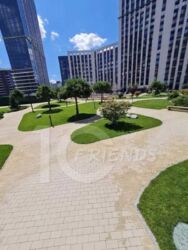 ��������� �������� �����������, 1�, ���, ����������� ���� 6