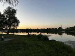 ��������� �������� ��������������, 31, ���, ����������� ���� 20