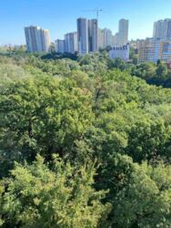 Продається квартира Київ, Шевченківський, Януша Корчака (колишня Баумана), 64 фото 3 Продається квартира Київ, Шевченківський, Януша Корчака (колишня Баумана), 64 фото 3