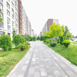 ��������� �������� �������, 17, ��� ���� 20