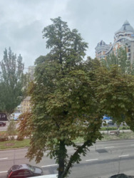 Продається квартира Київ, бульвар Лесі Українки 16 фото 16 Продається квартира Київ, бульвар Лесі Українки 16 фото 16