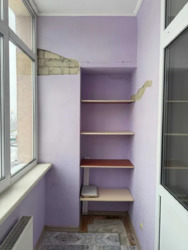 ��������� �������� �볿 ����������, 54, ���, ����������� ���� 6