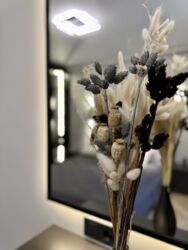 ��������� �������� ������� �����������, 24-� ������� ˳������, ���, ����������� ���� 6