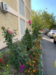 ��������� �������� �����������, 12, ���, ���������� ���� 19