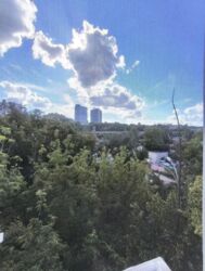 ��������� �������� �����������, 33/37, ���, ���������� ���� 9