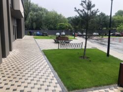 ��������� �������� �������� ������, 15�, ���, �����'������� ���� 11