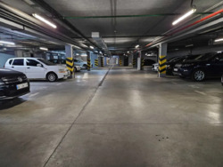   , , . -䳿, 2, .    19