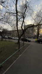   , ,   (), 32  5