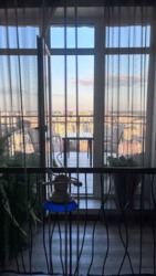 ��������� �������� ���� ��������, 13�, ���, ���������� ���� 10